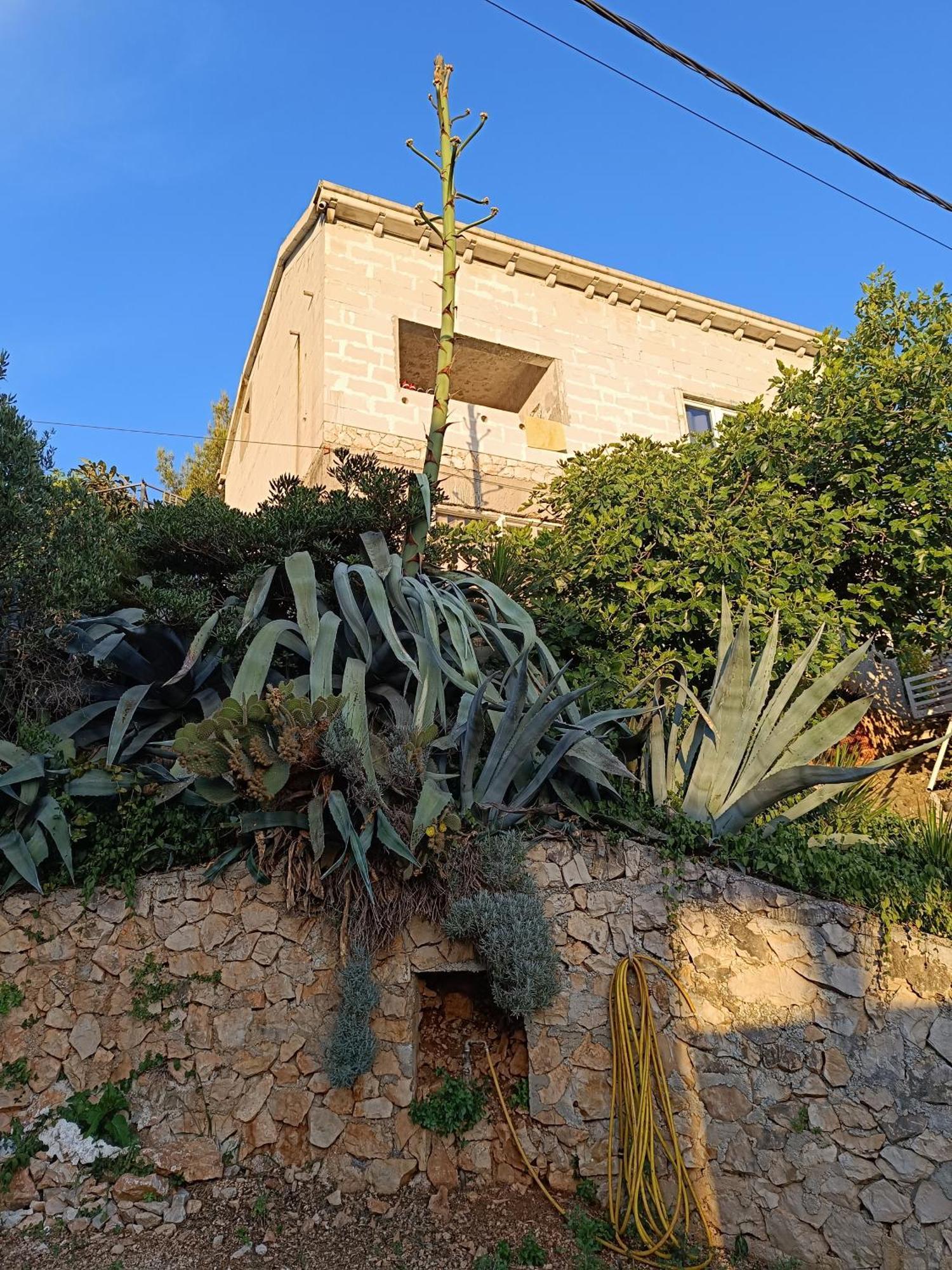Apartmarin Traù Esterno foto